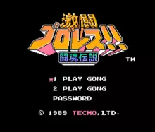 Image n° 1 - titles : Gekitou Pro Wrestling!! - Toukon Densetsu